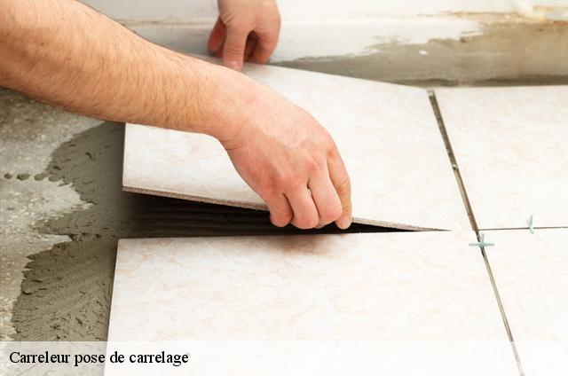 Carreleur pose de carrelage